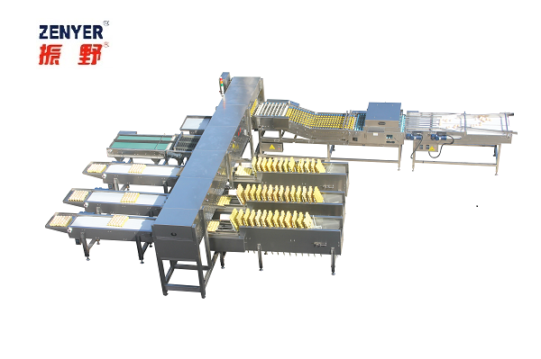 Egg Washing and Grading Machine Egg Washing Machine Egg Grading Machine Egg  Shell Cleaning Machine Egg Grader Egg Sorting Machine Egg Cleaner Machine -  China Egg Washing and Grading Machine, Egg Washing