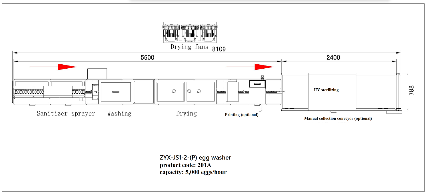 201A Egg washer