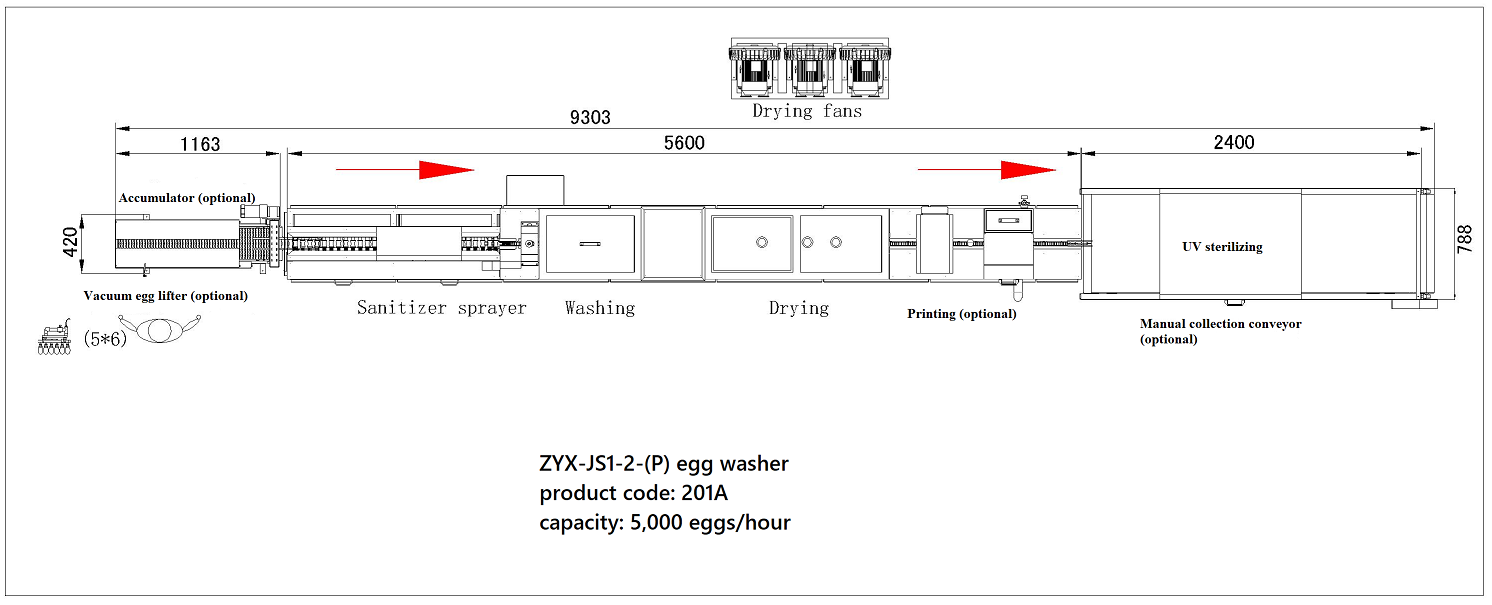 201A Egg washer