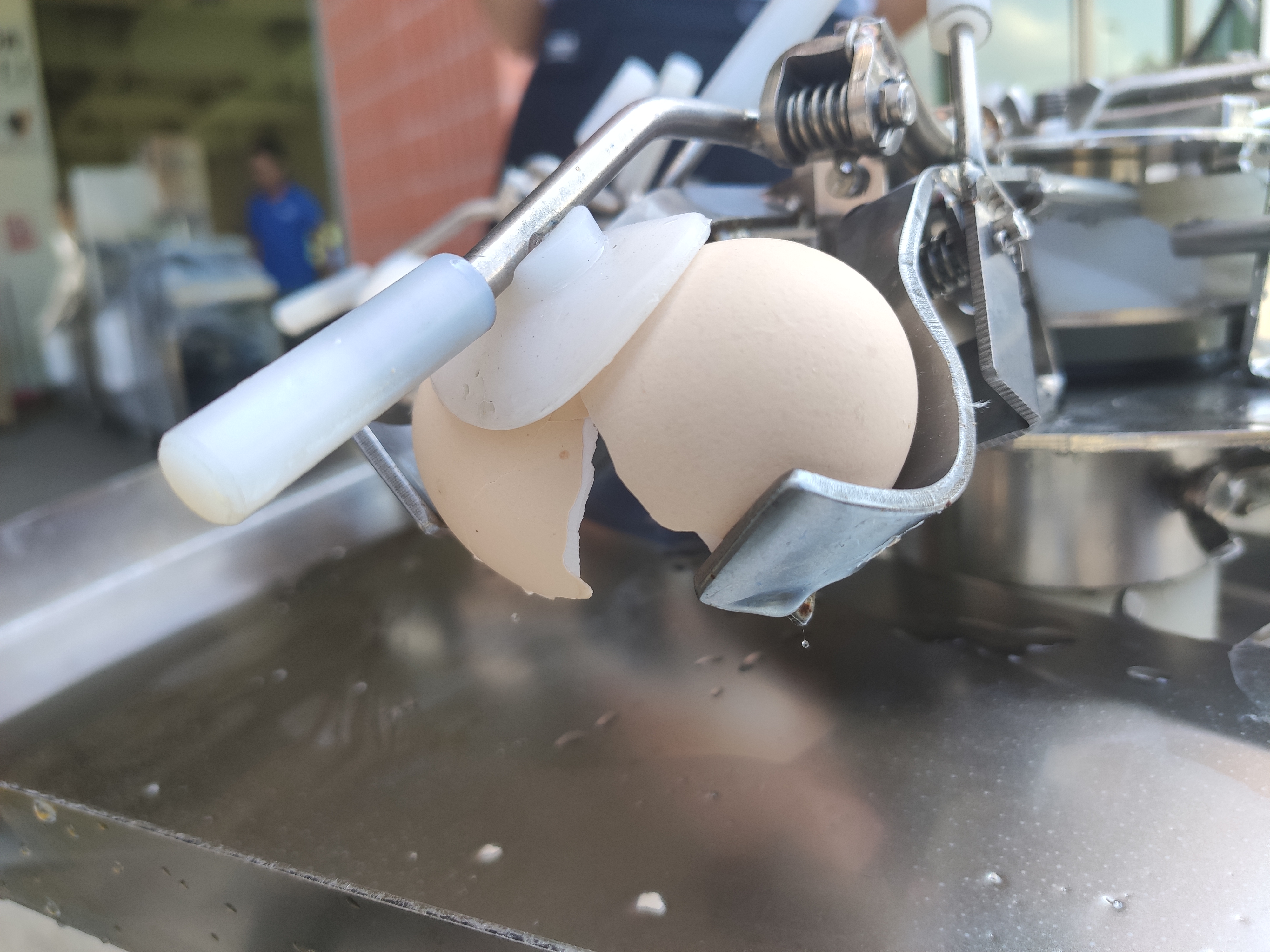 501A Egg separator